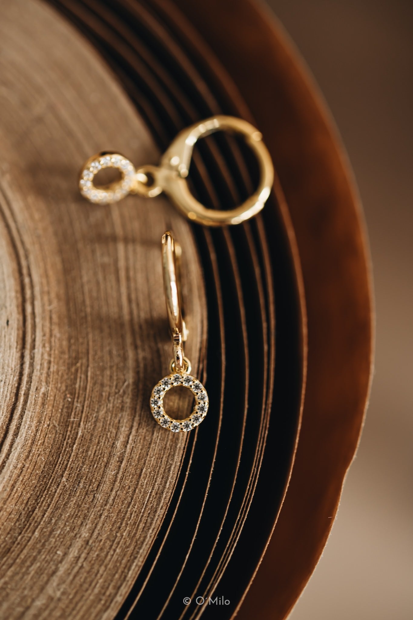 Circle Chandelier Earrings. Ecla