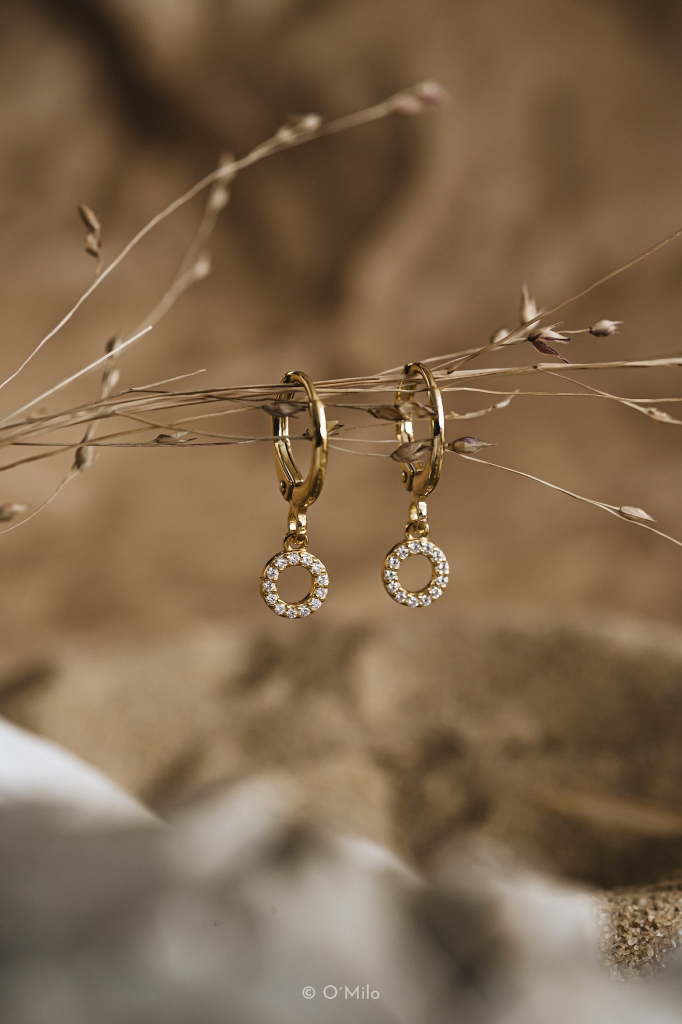 Circle Chandelier Earrings. Ecla