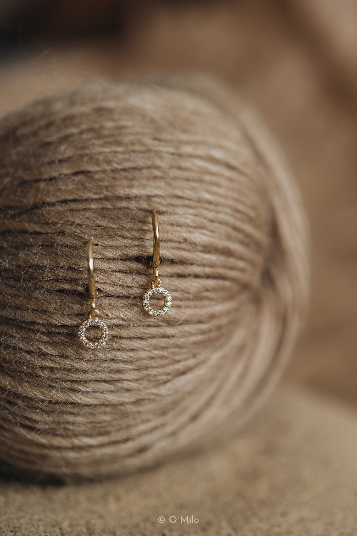 Circle Chandelier Earrings. Ecla