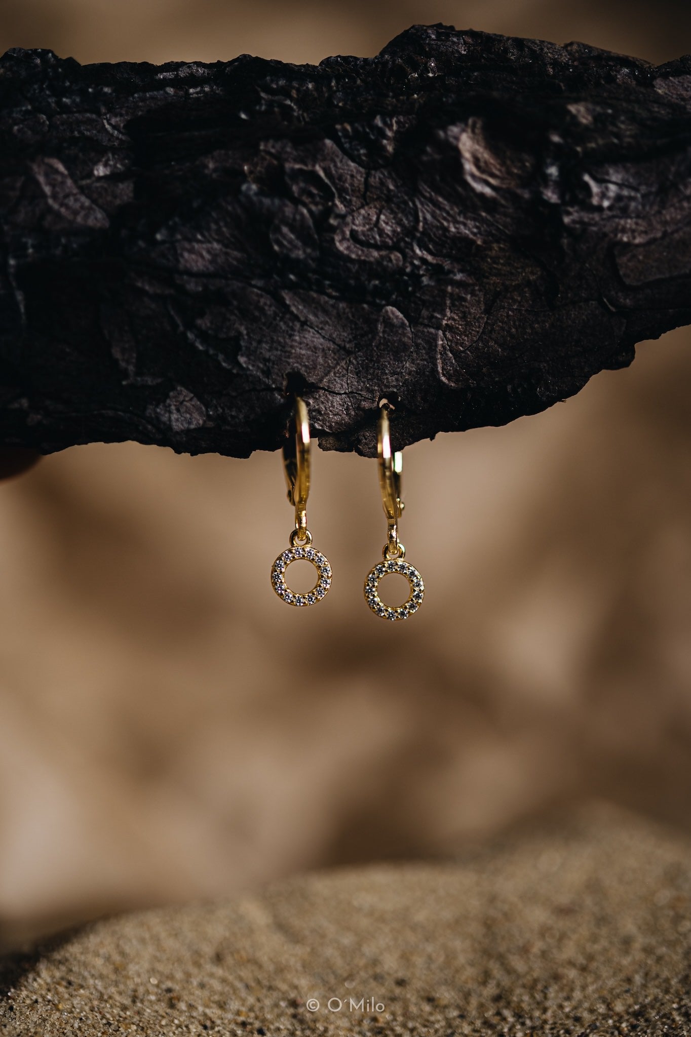 Circle Chandelier Earrings. Ecla